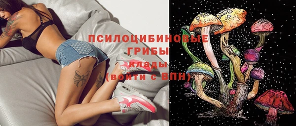 каннабис Богданович