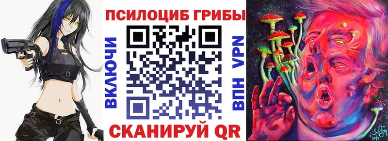 сколько стоит  Краснокамск  Псилоцибиновые грибы мицелий 
